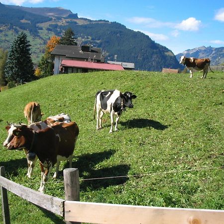 Готель Alpenhof Гріндельвальд Екстер'єр фото