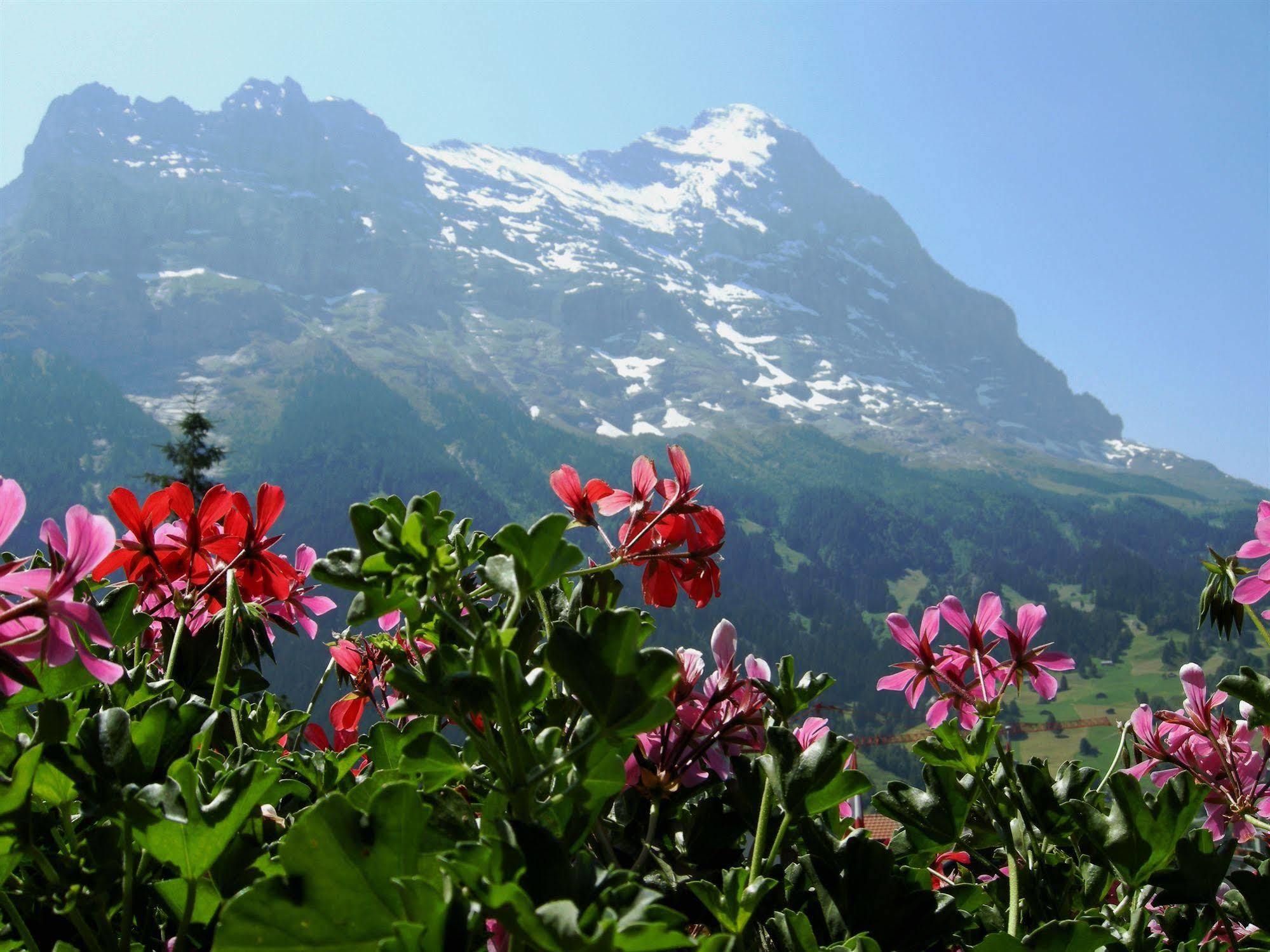 Готель Alpenhof Гріндельвальд Екстер'єр фото
